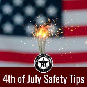 As Texans make plans to celebrate the Fourth of July with picnics, grilling, camping or fireworks, Texas A&M Forest Service encourages everyone to be careful with any outdoor activity that may cause a spark.